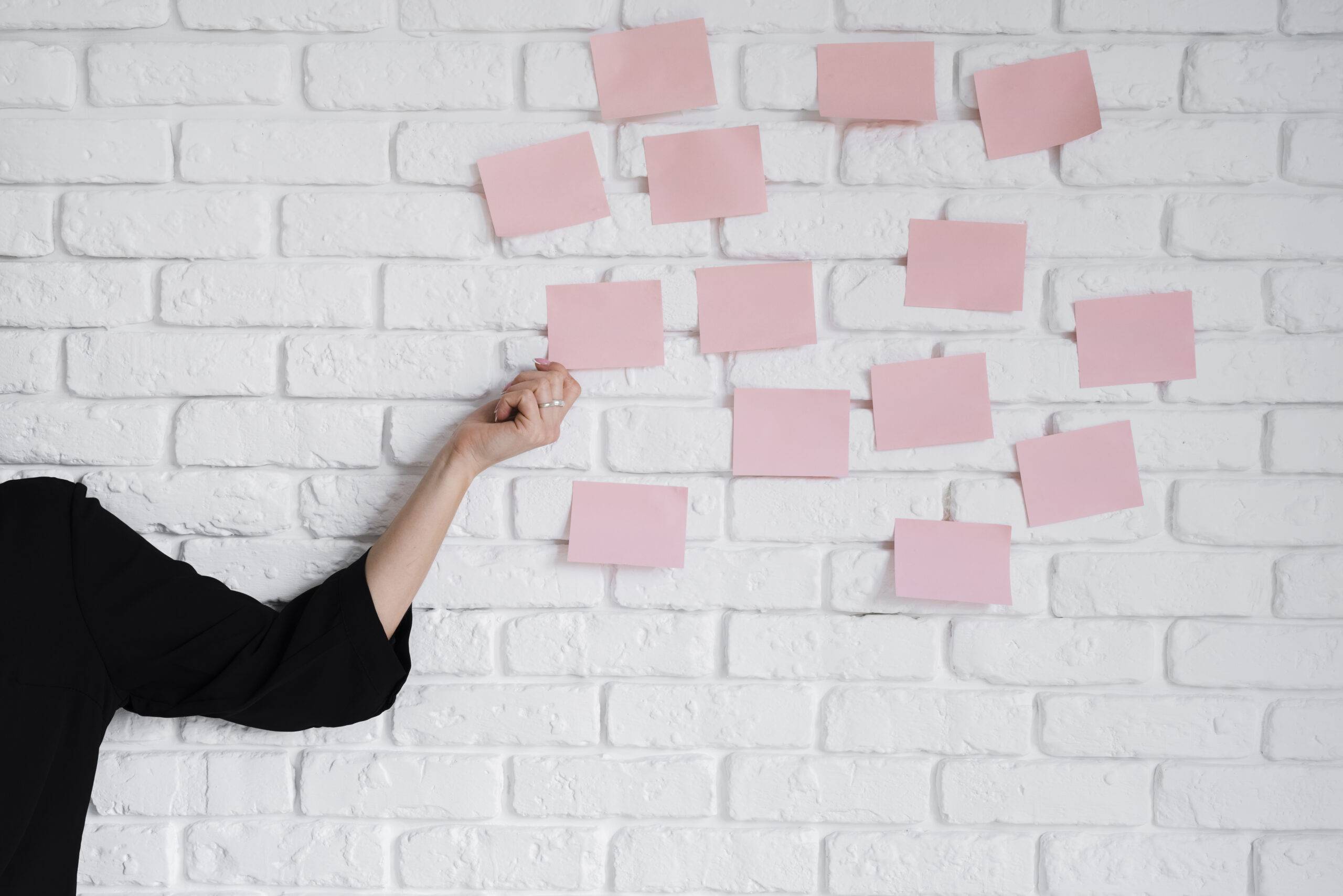 actividades de concienciación ambiental

